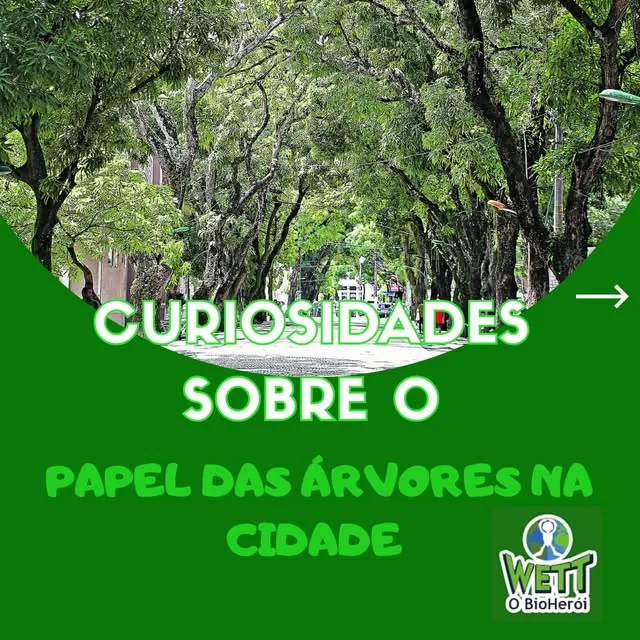 Post de curiosidade ambiental do Wett