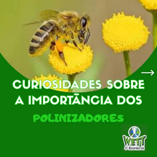 Post sobre polinizadores